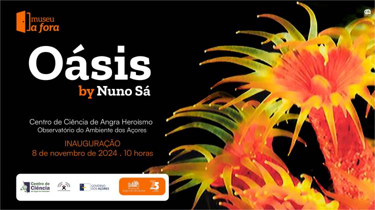 INAUGURAÇÃO |Oásis by Nuno Sá