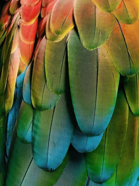 Teatro 'As Aves' em Friestas