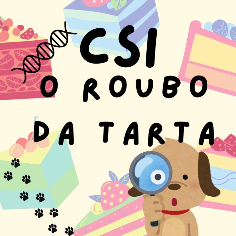 CSI: O roubo da tarta