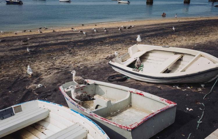 O QUE RESTA - Espetáculo