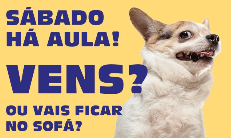 Escolinha Canina