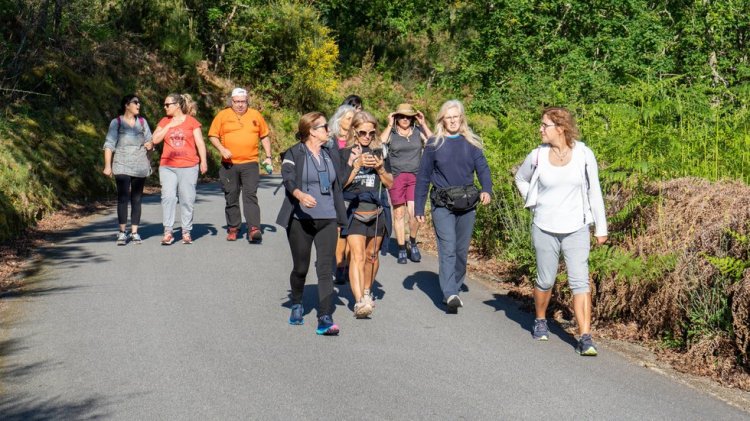 Cerveira Saudável - Trilho do Magusto