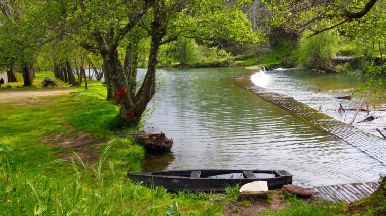 Ecovia Mondego Etapa 1: Santa Comba Dão à Barragem da Agueira (Não são os Passadiços Mondego)  