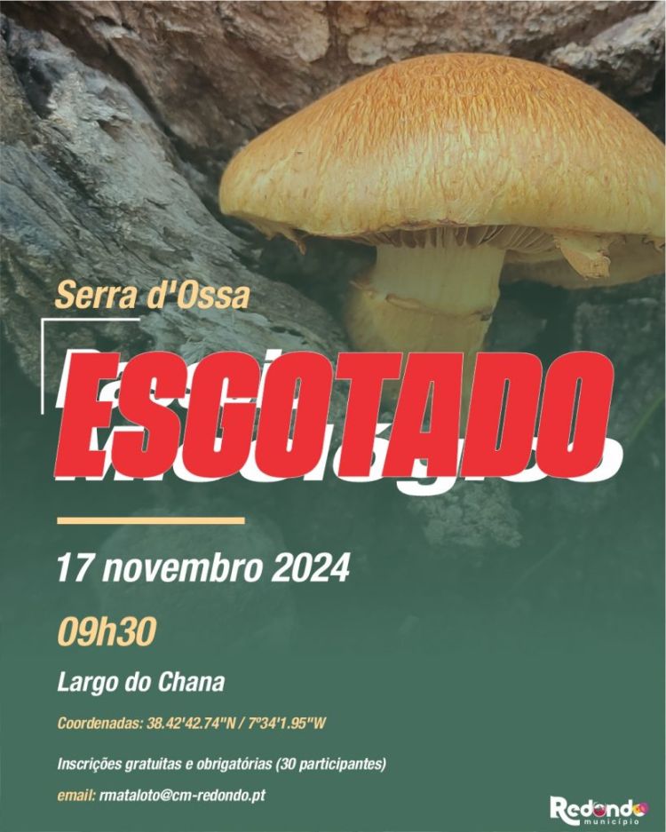 ESGOTADO: Passeio Micológico Serra d´Ossa | 17 de novembro | 09h30 | Largo do Chana (Aldeia da Serra)