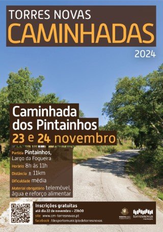 Caminhada dos Pintainhos