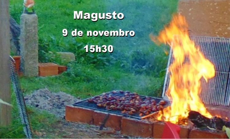 Magusto no Terra Solta