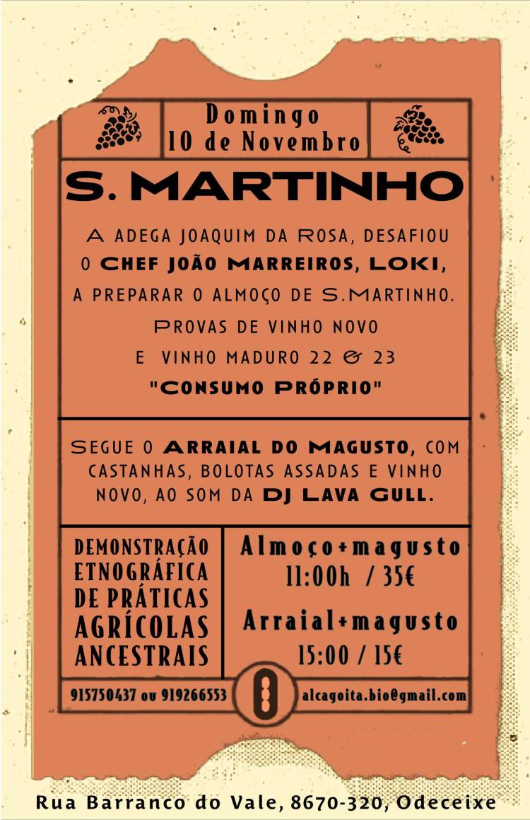 S. Martinho vai á adega