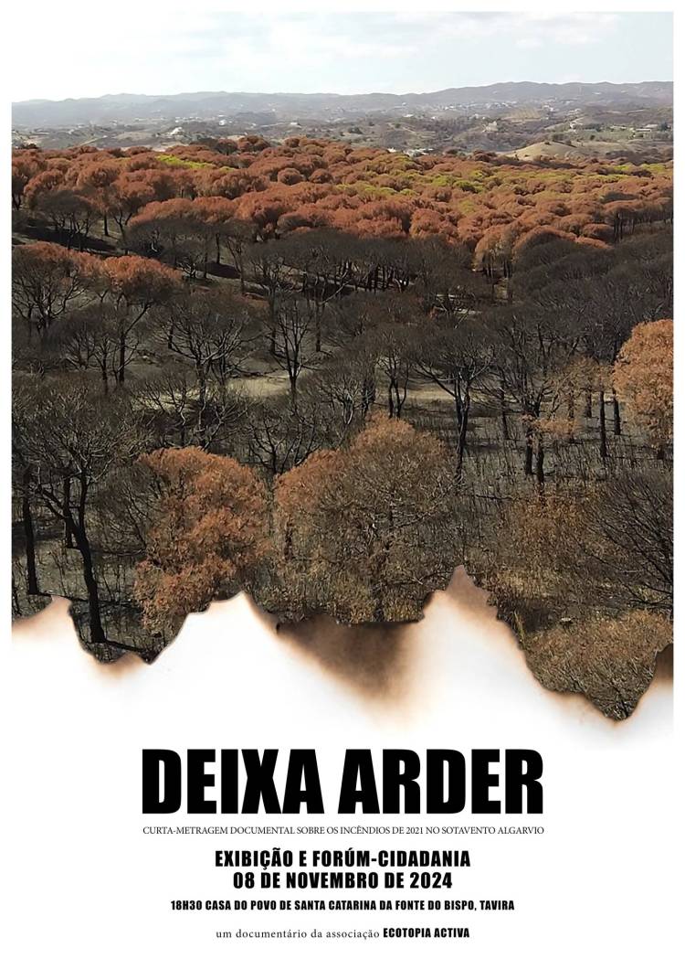 Curta – metragem |documental “DEIXA ARDER”