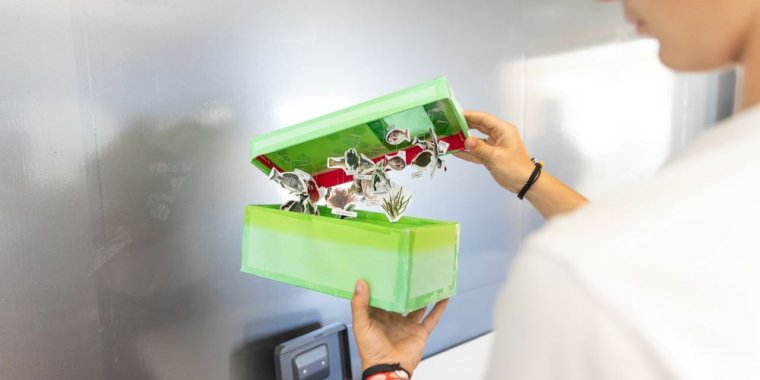 Atelier 'Ecossistemas do Mar Profundo'