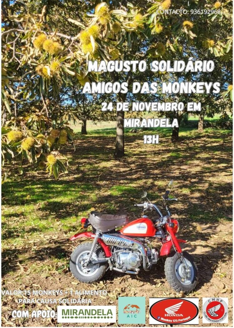 Magusto Solidário - Amigos das Monkeys