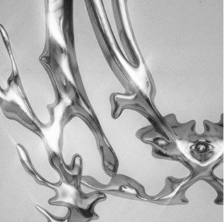 AXIS: The Immersive Experience