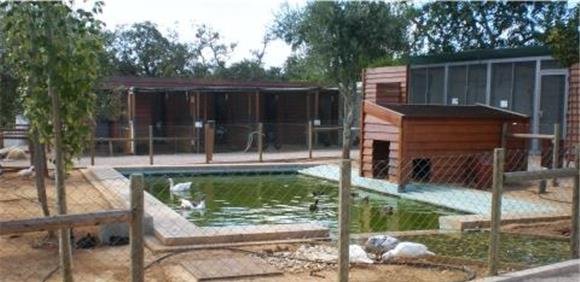 Caça ao Tesouro “Separa e ganha” na Quinta do Peral