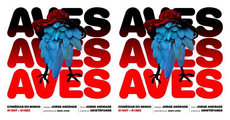 'As Aves' em Melgaço