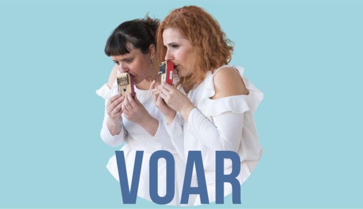 Voar – Trilogia Aves