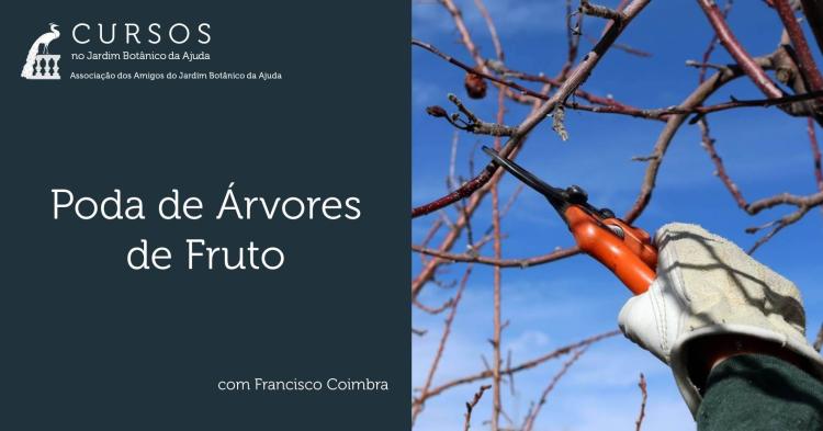 Poda de Árvores de Fruto