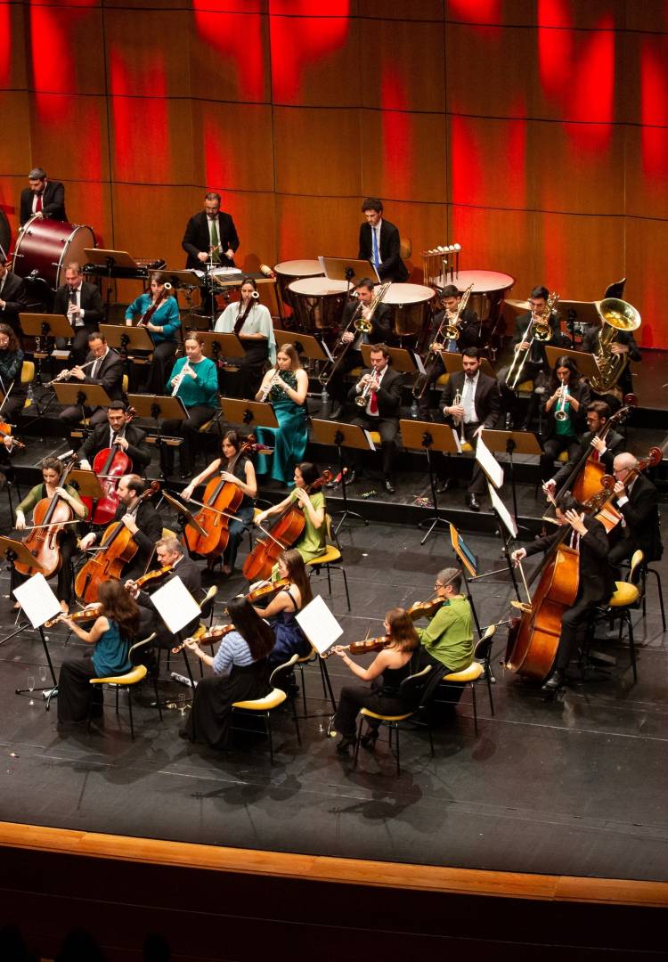 Concerto de Ano Novo | Orquestra Metropolitana de Lisboa