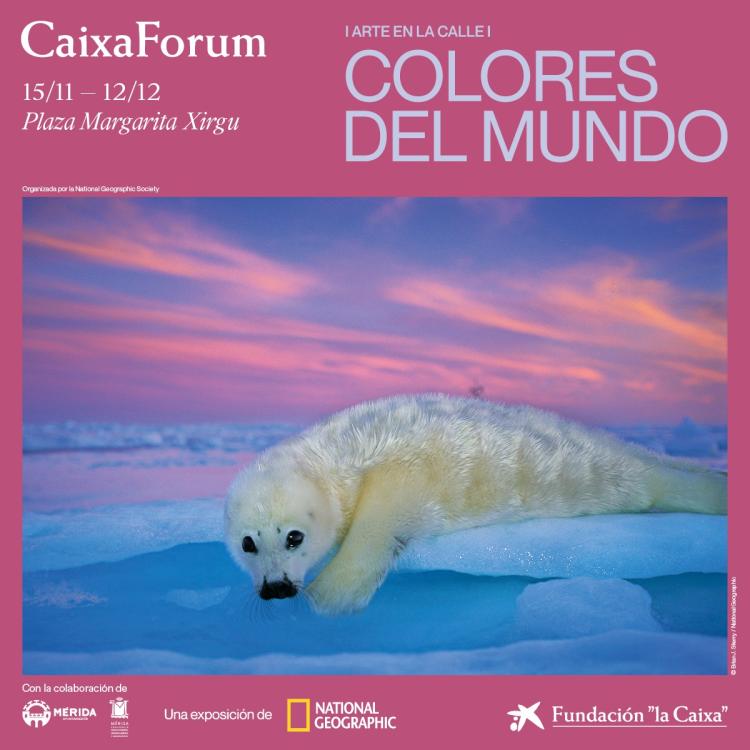 Exposición ‘Colores del Mundo’