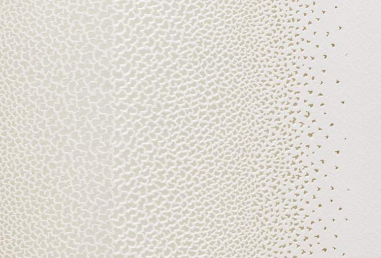 Claire de Santa Coloma