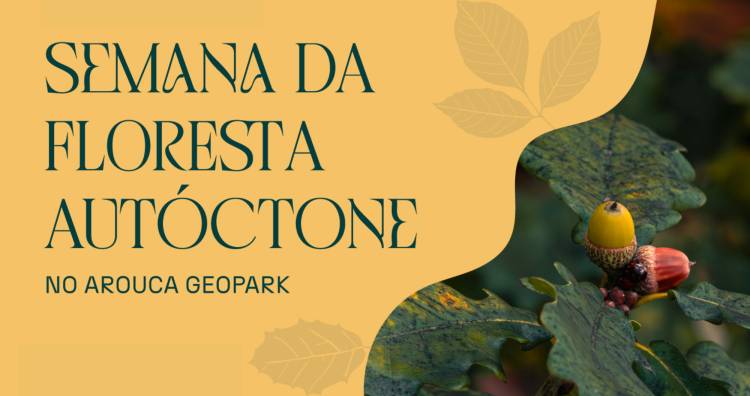 Visita guiada à exposição “Crescem como cogumelos” e oficina de introdução à ilustração