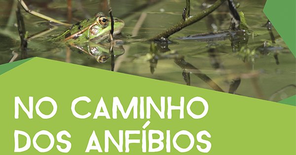 No caminho dos anfíbios | ESGOTADO