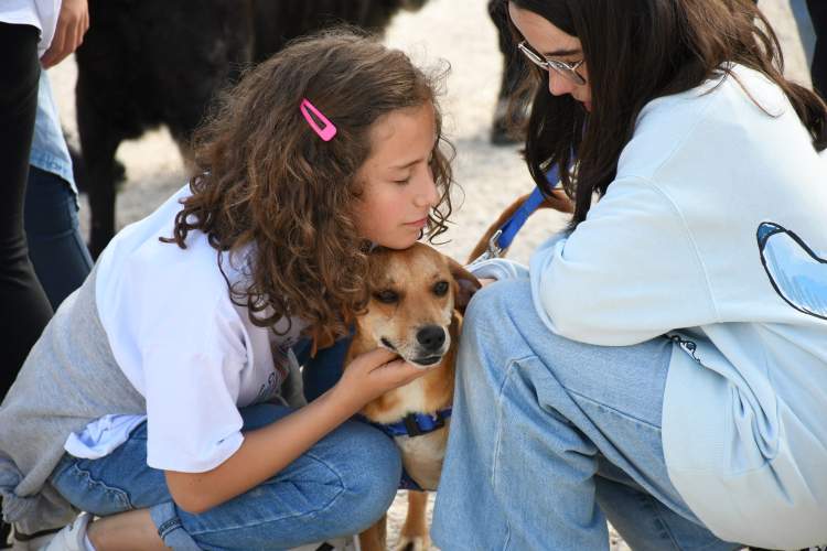 Adote um amigo de quatro patas e mude uma vida