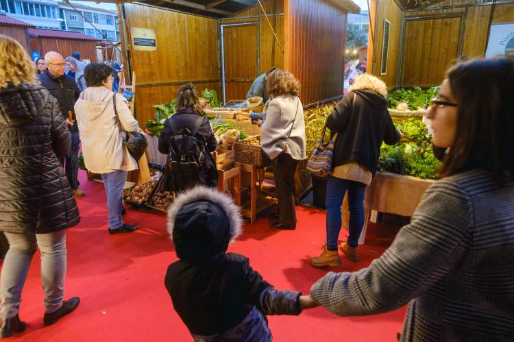 Feliz Almada 2024 - Cidade Natal