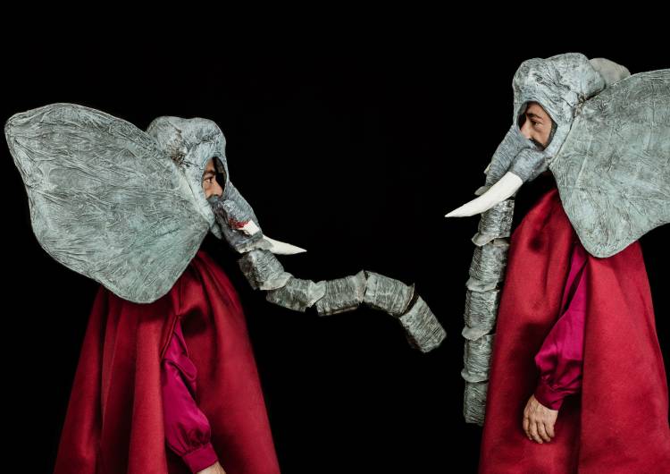 O mundo de patas para o ar - Teatro para bebés e não Só