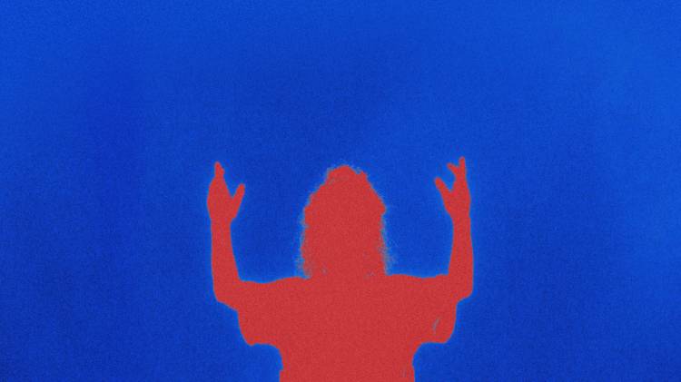 cão de sete patas | Bibi Dória