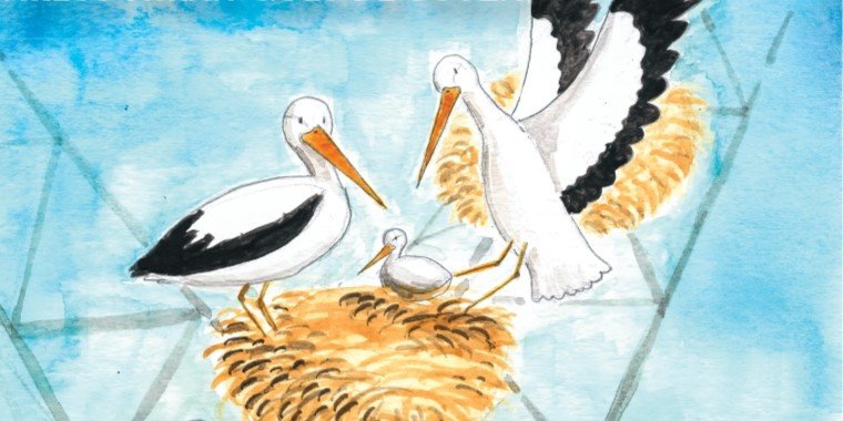 Apresentação do livro 'A Família Bicolongo' de Margarete Gouvea e Carlos Hiran Goes de Souza, e ilustrações de Rodrigo Estiveira