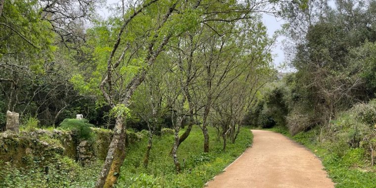 Caminhada no Trilho do Marmeleiro