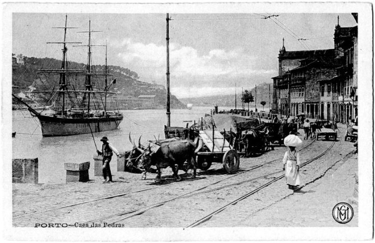 SLOW MOTION TOURS: AGENDA for NOVEMBER of 2024