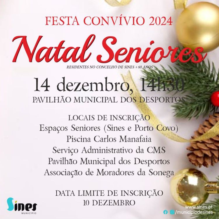 Festa convívio de Natal Sénior