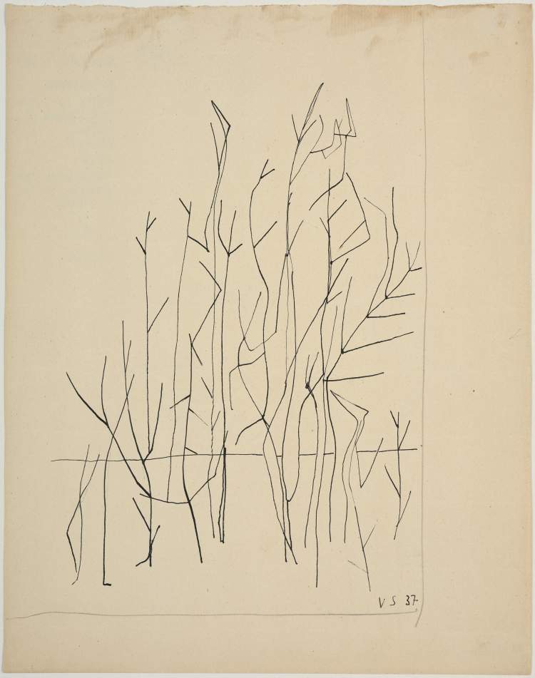 331 Amoreiras em Metamorfose