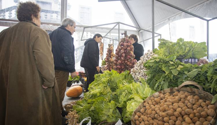 Feira das pencas