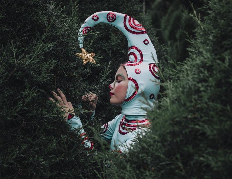 En las ramas del ciprés.