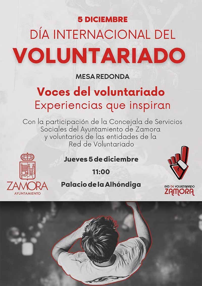 MESA REDONDA: VOCES DEL VOLUNTARIADO