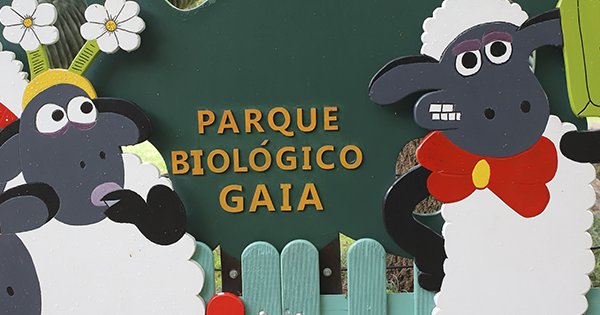 Exposição «O Monstro»