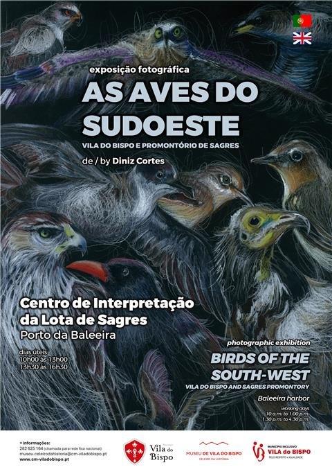Exposição fotográfica 'As Aves do Sudoeste - Vila do Bispo e Promontório de Sagres' de Diniz Cortes