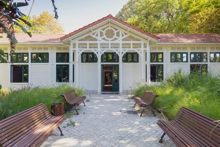 Novembro e dezembro na Casa do Jardim da Estrela