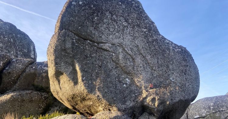 Meia Sombra: A Partir da Coleção da CGD