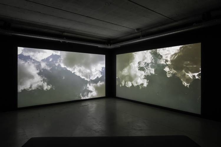 still moving inside me, por tatiana macedo