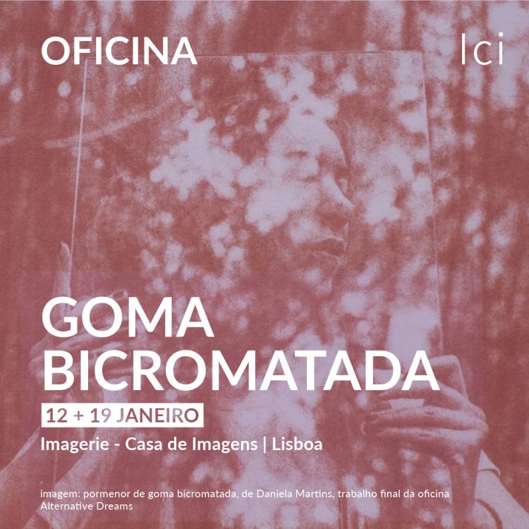 Oficina de Processos Alternativos - Goma Bicromatada (monocromática)