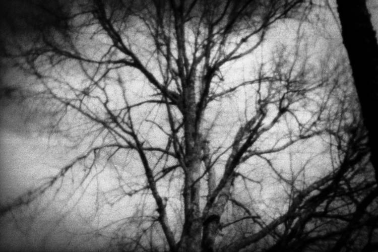 Esgotada | Alternative Dreams - Oficina de Processos Alternativos