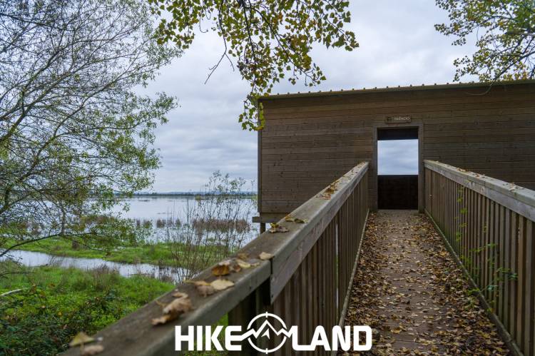 Reserva Natural do Paul do Boquilobo | Golegã