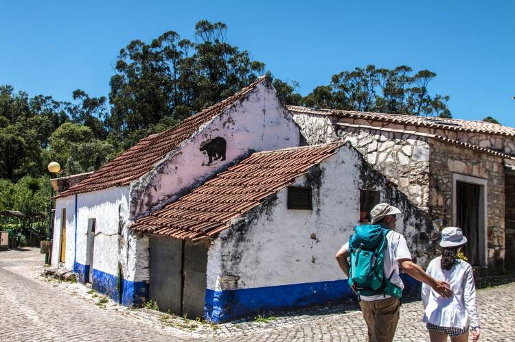 Caminhada Natalícia na Pia do Urso | Batalha