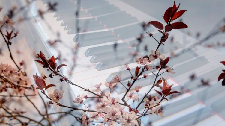 Música na Quinta 2024 | DEZ