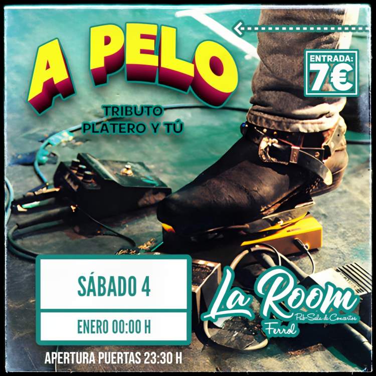 Concierto  A PELO  (tributo Platero y tú )  (7 €)