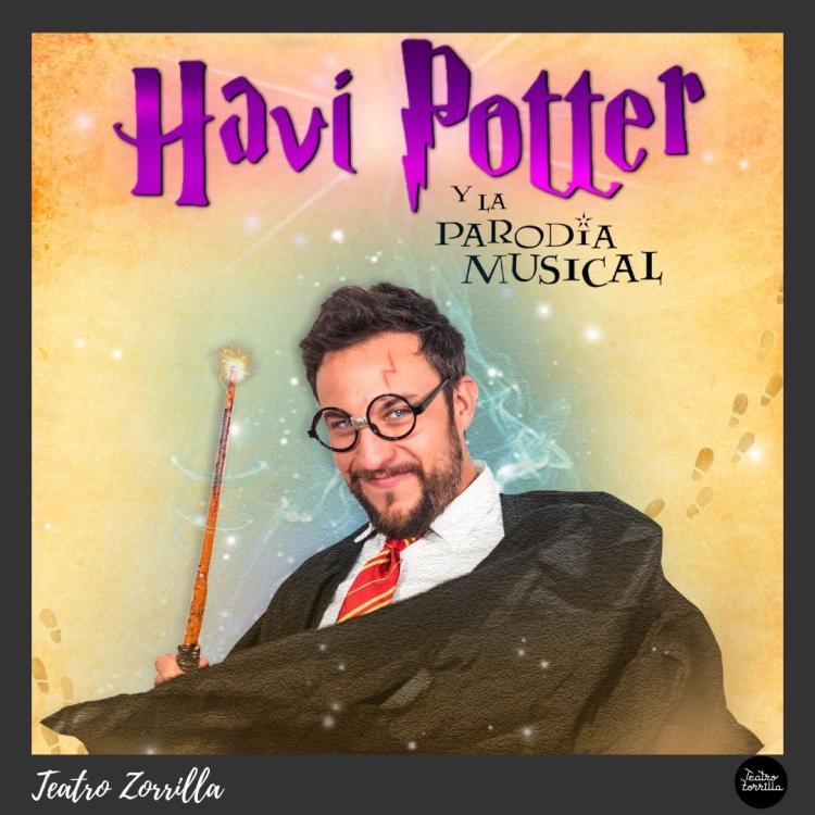 HAVI POTTER Y LA PARODIA MUSICAL