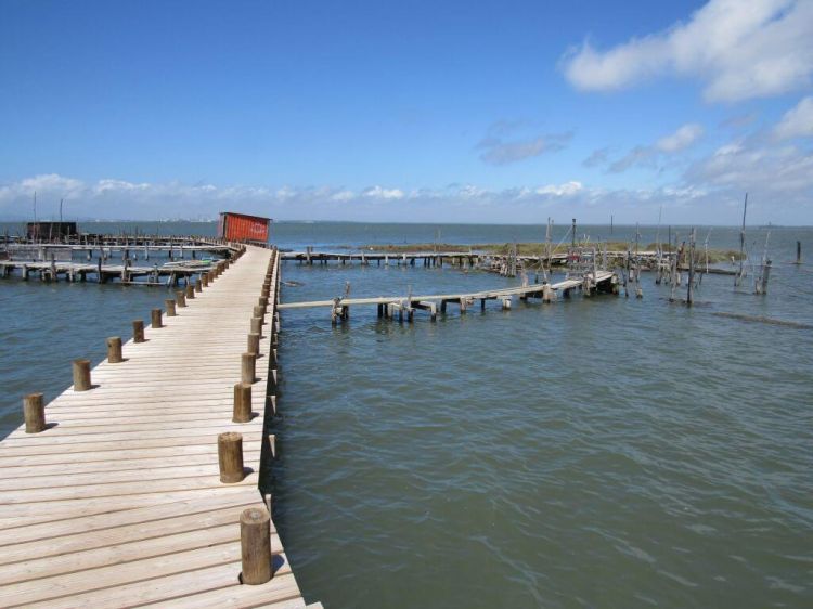 Caminhando na Comporta e Carrasqueira