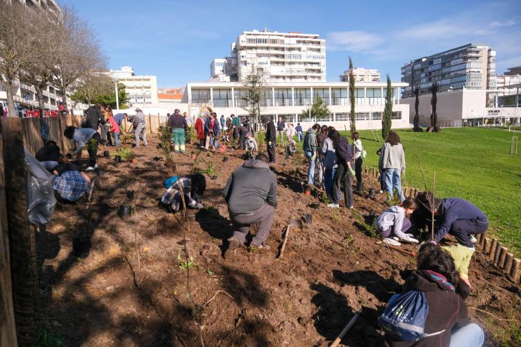 Microflorestas - Parque Urbano Comandante Júlio Ferraz